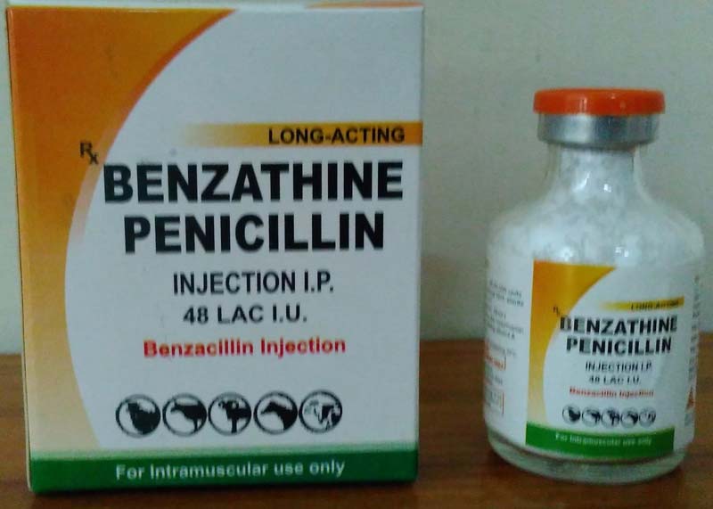 Nhóm Penicillin