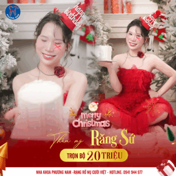 Đón Noel rạng rỡ cùng Nụ Cười Phương Nam